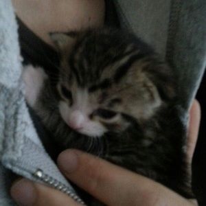 Meet your Posher, Ava